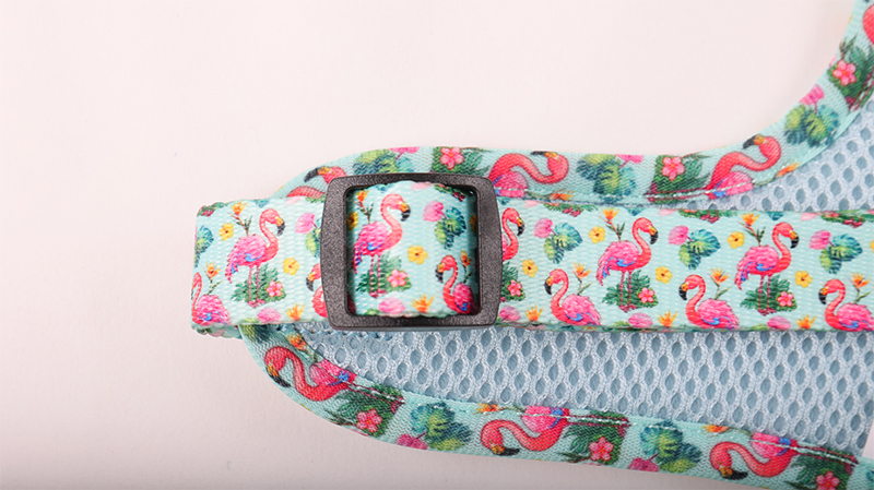 Kutyahám készlet gyártója egyedi neoprén állítható kutyahám kutyanyakörv és kutyapóráz 11