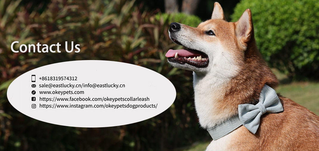 Kutyahám készlet gyártója egyedi neoprén állítható kutyahám kutyanyakörv és kutyapóráz 28