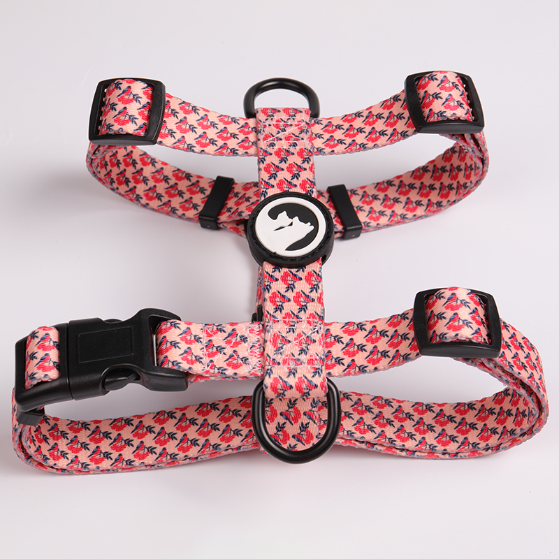 OKEYPETS apdrukāts suņu siksnu komplekts, pielāgots dažādu krāsu poliestera suņu siksnu komplekts 8