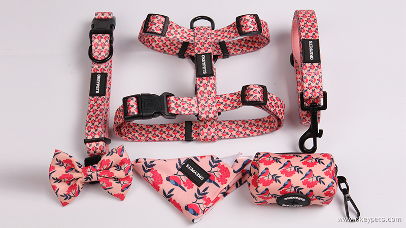 OKEYPETS apdrukāts suņu siksnu komplekts, pielāgots dažādu krāsu poliestera suņu siksnu komplekts 7