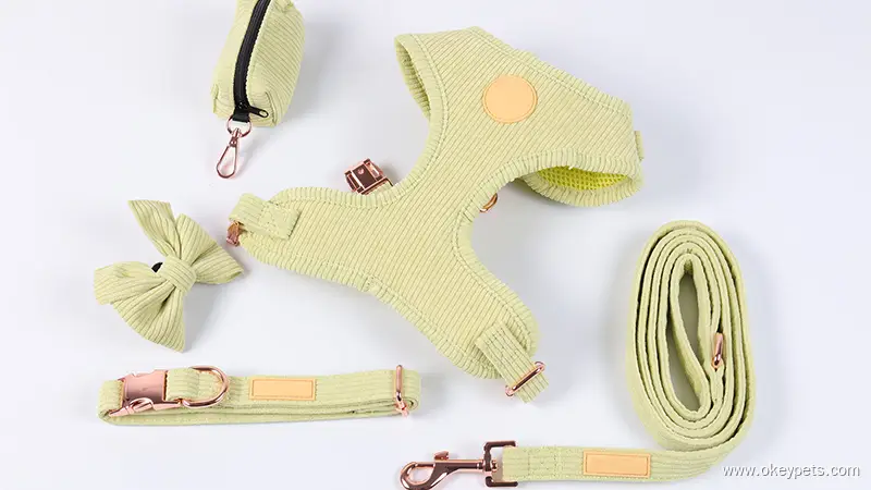 Ensemble de harnais pour chien en velours côtelé vert clair réglable, conception personnalisée 1