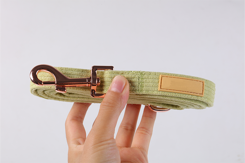 Ensemble de harnais pour chien en velours côtelé vert clair réglable, conception personnalisée 17