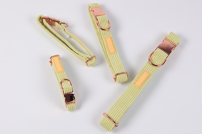 Ensemble de harnais pour chien en velours côtelé vert clair réglable, conception personnalisée 16