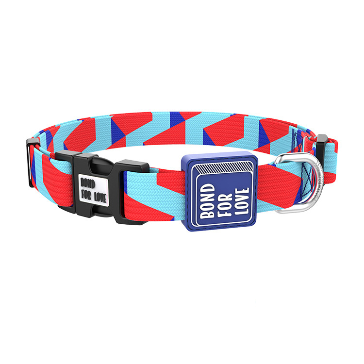 Collier pour chien en gros, collier ajustable avec boucle à dégagement rapide 19