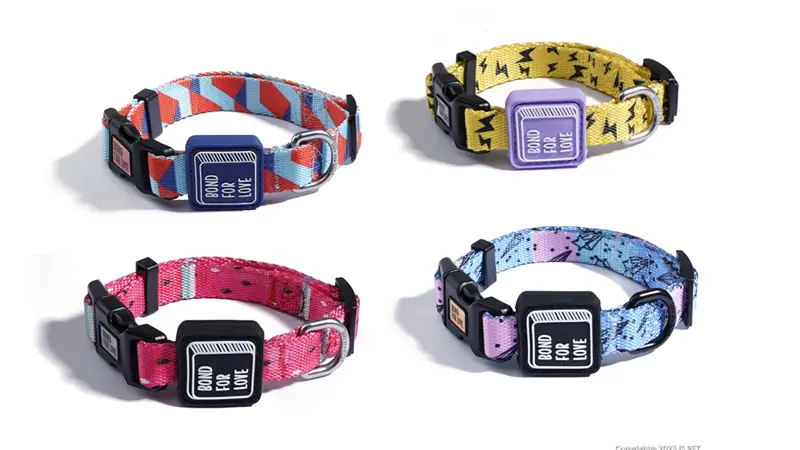 Collier pour chien en gros, collier ajustable avec boucle à dégagement rapide 1