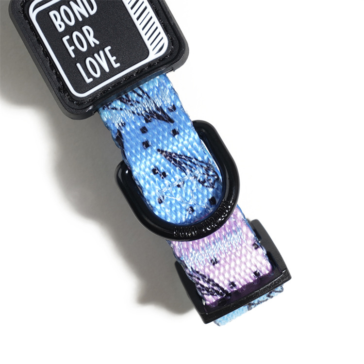 Collier pour chien en gros, collier ajustable avec boucle à dégagement rapide 12