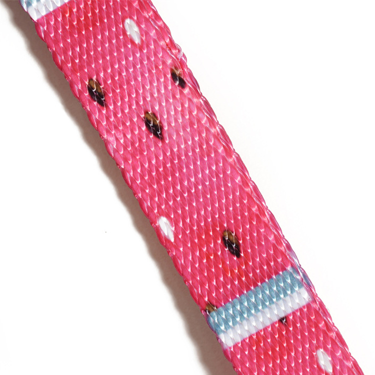 Collier pour chien en gros, collier ajustable avec boucle à dégagement rapide 13