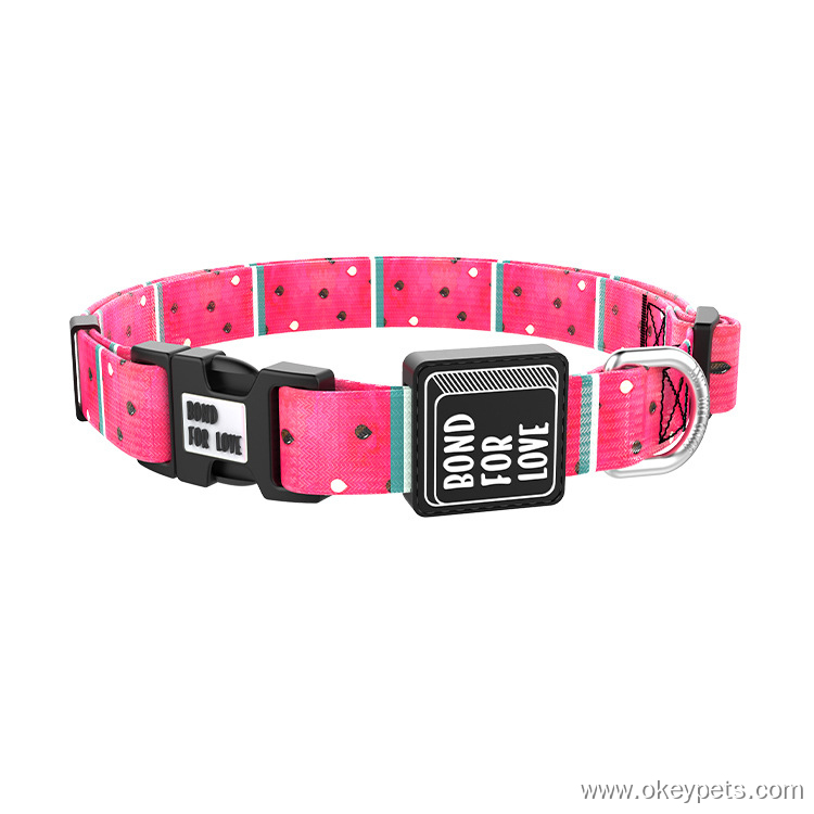 Collier pour chien en gros, collier ajustable avec boucle à dégagement rapide 15