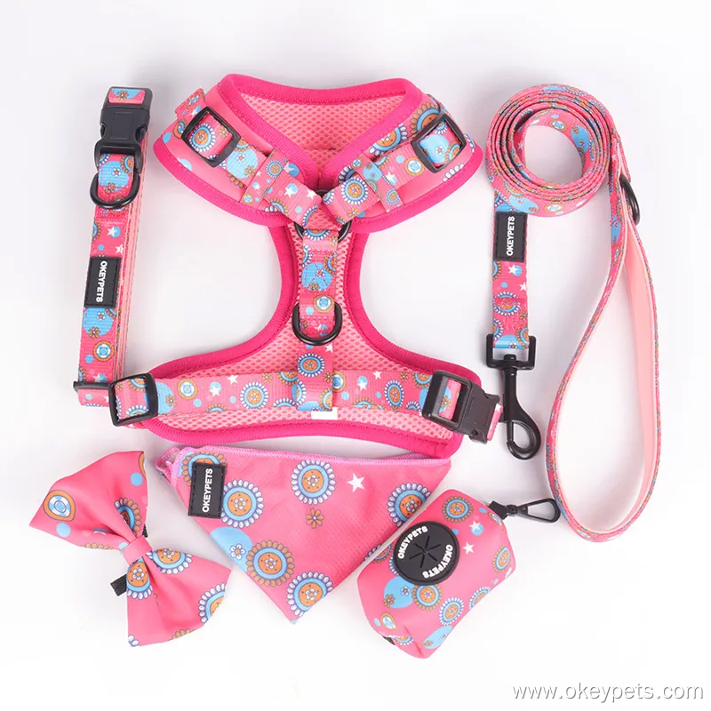 Ensemble de harnais de luxe personnalisé en polyester pour chien OKEYPETS 12