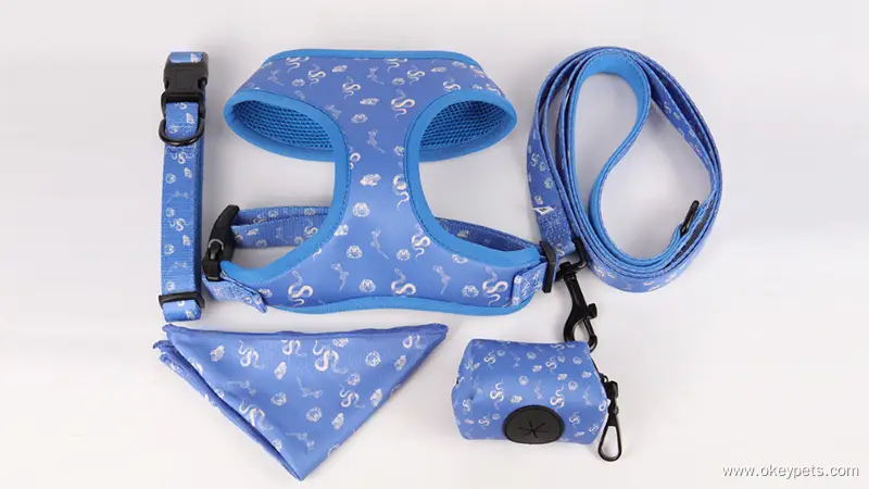 Harnais pour chien robuste et personnalisé en néoprène avec motif personnalisé, collier et laisse inclus. 1