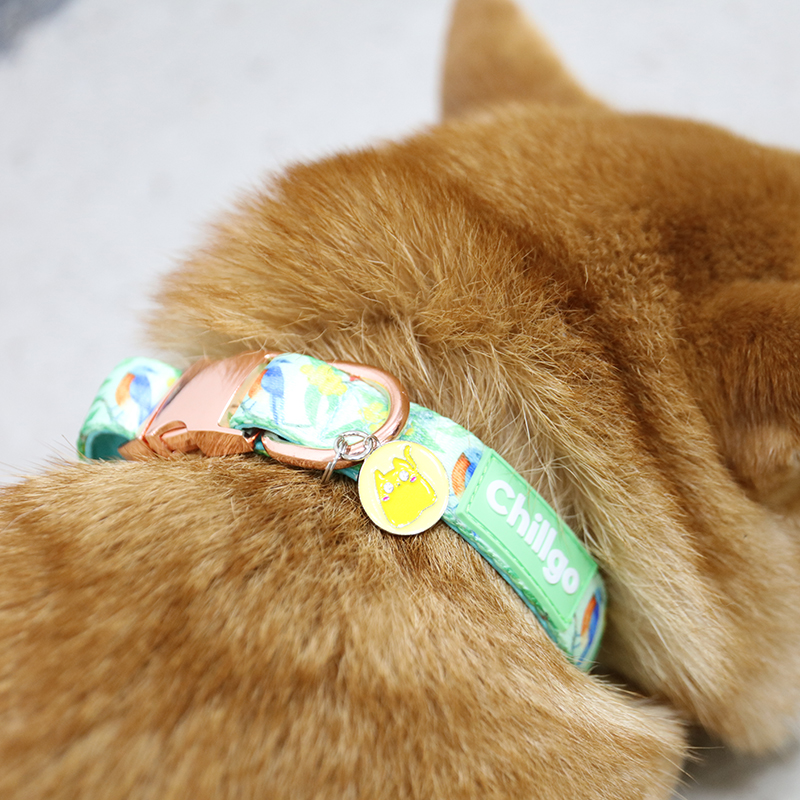 Médaille d'identification personnalisée pour chien, double face, en acier inoxydable gravée en profondeur 20