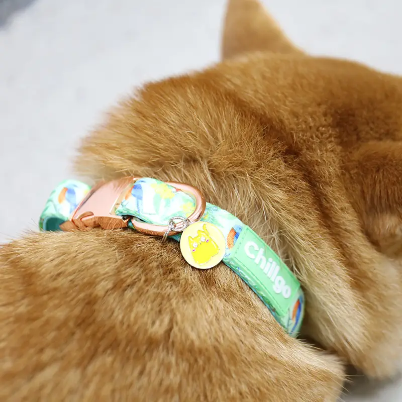 Medagliette Identificative Per Cani Color Arcobaleno, Ossi In Acciaio