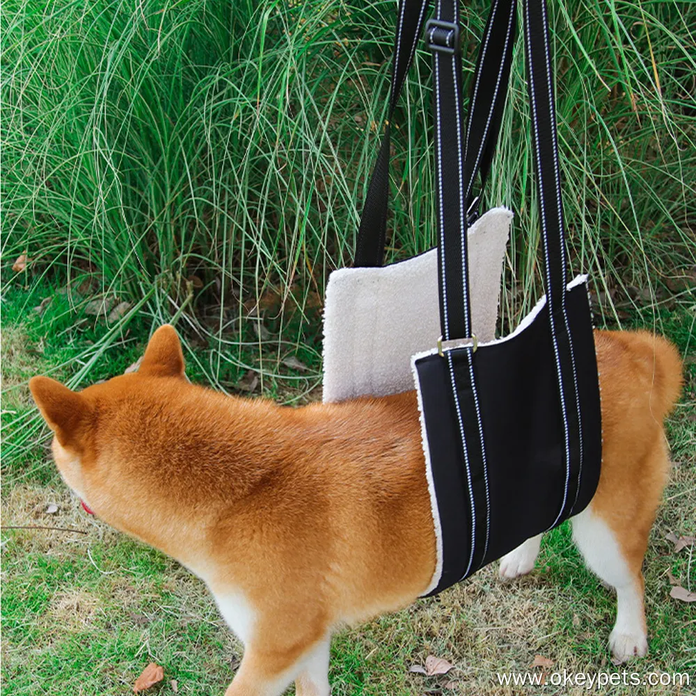 Sele för hundpromenader - Mobilitetslösning för äldre hundar och skador 2