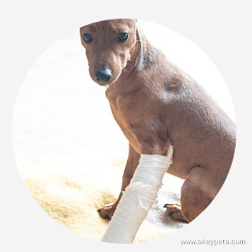 Fournitures pour animaux de compagnie en gros : sangles de poitrine, harnais de rééducation pour chiens, harnais de levage auxiliaire pour chiens. 14