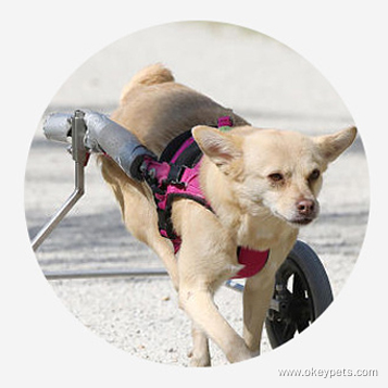 Fournitures pour animaux de compagnie en gros : sangles de poitrine, harnais de rééducation pour chiens, harnais de levage auxiliaire pour chiens. 17