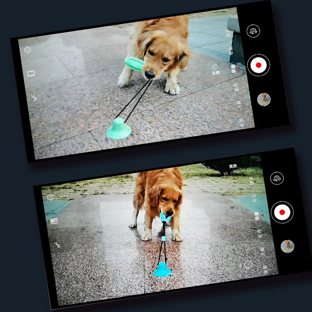 OKEYPET Jouets à mâcher pour chiens à mâchoires puissantes - Jouets interactifs 13