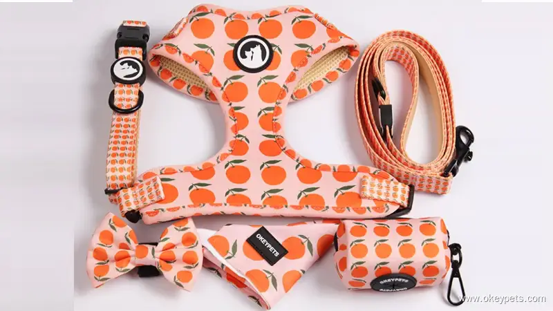 Harnais pour chien OKEYPETS Step-in - Harnais léger en maille aérée, personnalisable, pour chien 1