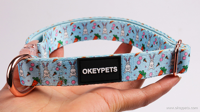 OKEYPETS - Colliers pour chiens personnalisés, boucle à ouverture rapide, réglables et écologiques 15