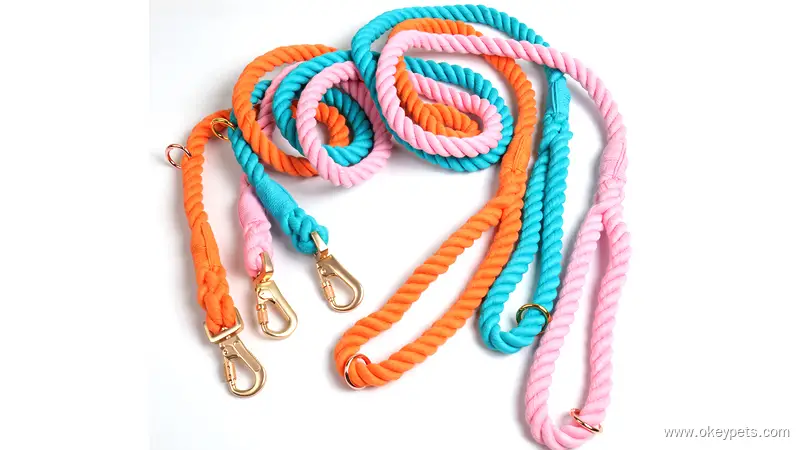 Laisse personnalisée en coton résistant, colorée et ajustable, pour chien, idéale pour la promenade. 1