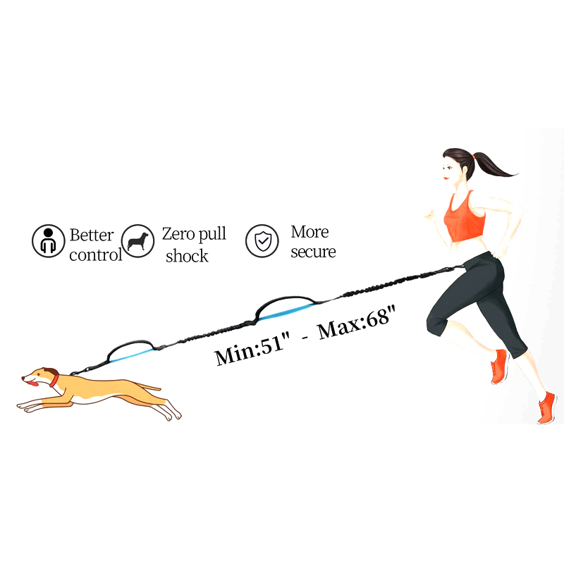 Laisse pour chien mains libres en gros avec pochette zippée, doubles poignées rembourrées et laisse élastique résistante 15