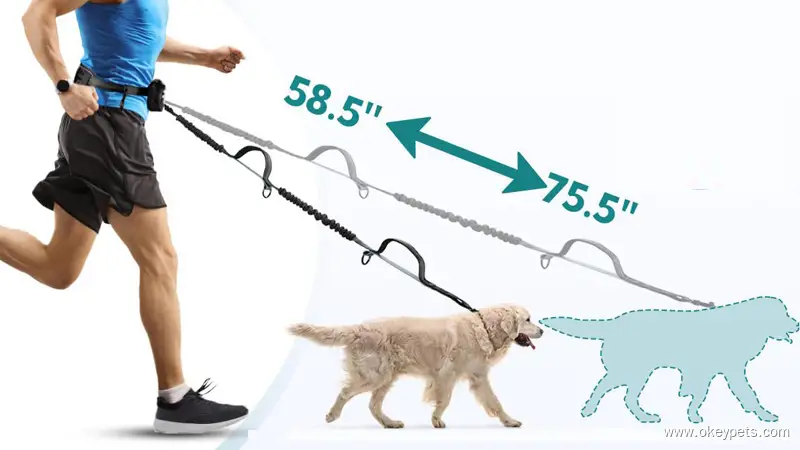 Laisse élastique réfléchissante mains libres pour chien, noire, en gros, Chine 1