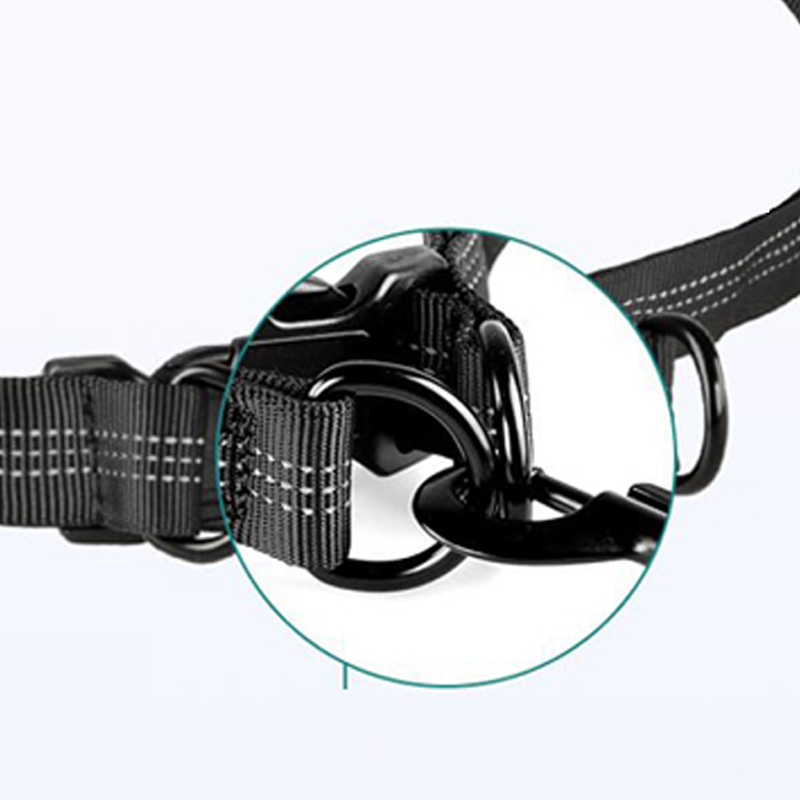 Laisse élastique réfléchissante mains libres pour chien, noire, en gros, Chine 10