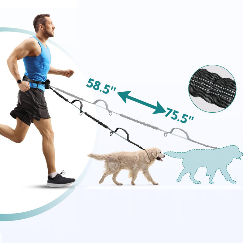 Laisse élastique réfléchissante mains libres pour chien, noire, en gros, Chine 7