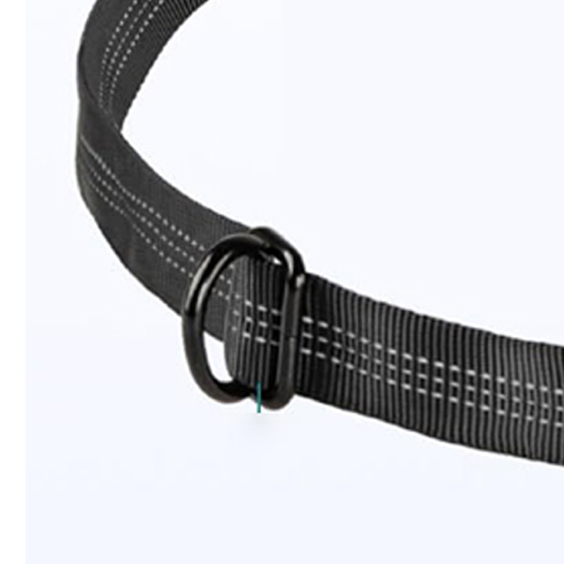 Laisse élastique réfléchissante mains libres pour chien, noire, en gros, Chine 11