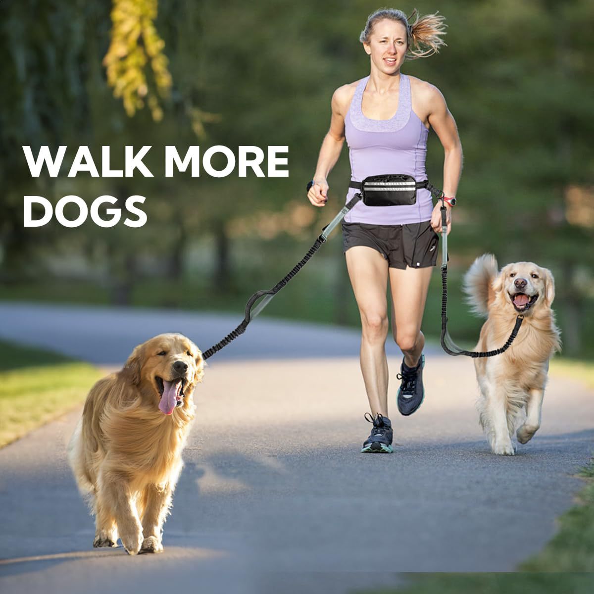 Laisse élastique réfléchissante mains libres pour chien, noire, en gros, Chine 30