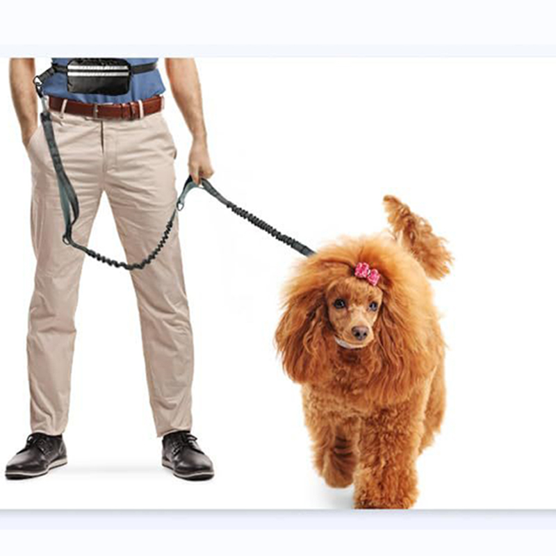 Laisse élastique réfléchissante mains libres pour chien, noire, en gros, Chine 20