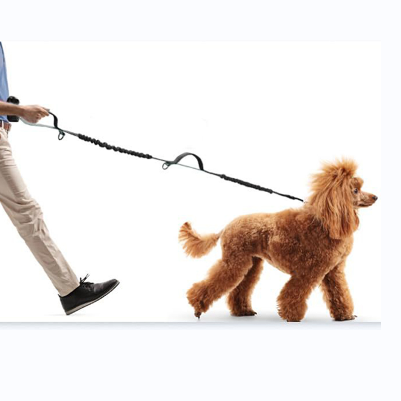 Laisse élastique réfléchissante mains libres pour chien, noire, en gros, Chine 19