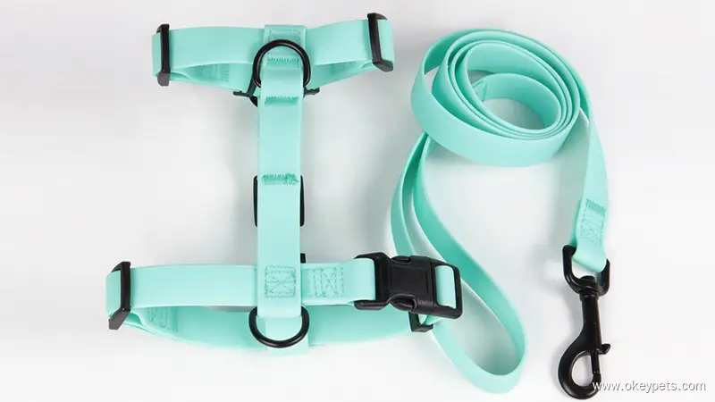 OKEYPETS Ensemble harnais pour chien en PVC résistant et mignon, avec collier et laisse. 1