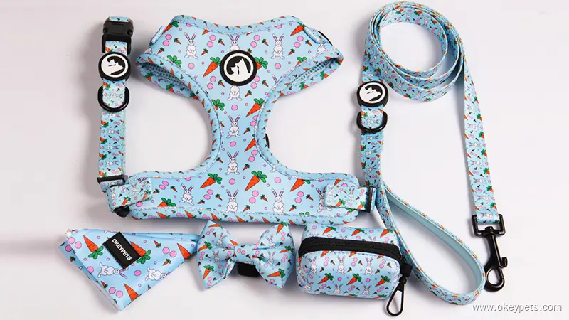 Harnais pour chien avec collier et laisse, rembourrés en polyester sublimé, à fermeture rapide et personnalisables (OEM), avec logo en gros et logo imprimé. 1