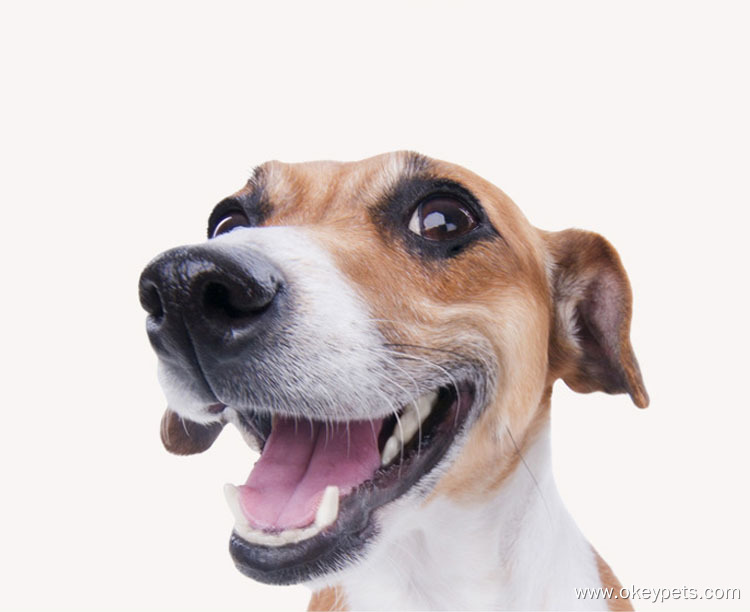 Usine de jouets pour animaux de compagnie - Vente en gros de balles de football en latex pour chiens, à mâcher et à rapporter. 10