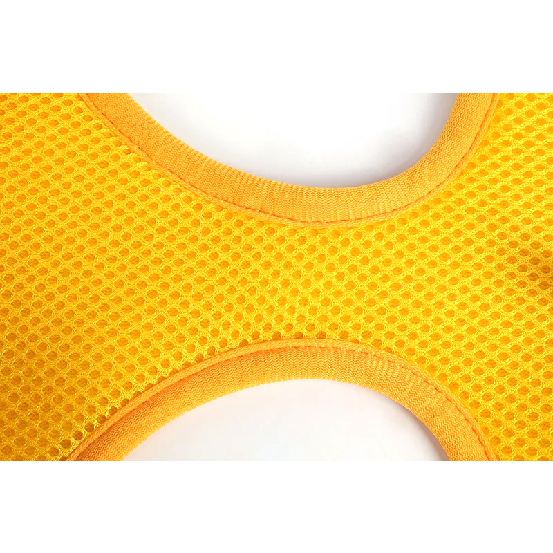 Ensemble de harnais pour chien personnalisé imprimé, six pièces, accessoires pour animaux de compagnie 13