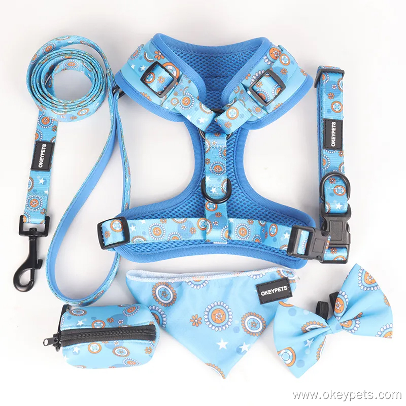 Ensemble de harnais pour chien personnalisé imprimé, six pièces, accessoires pour animaux de compagnie 23