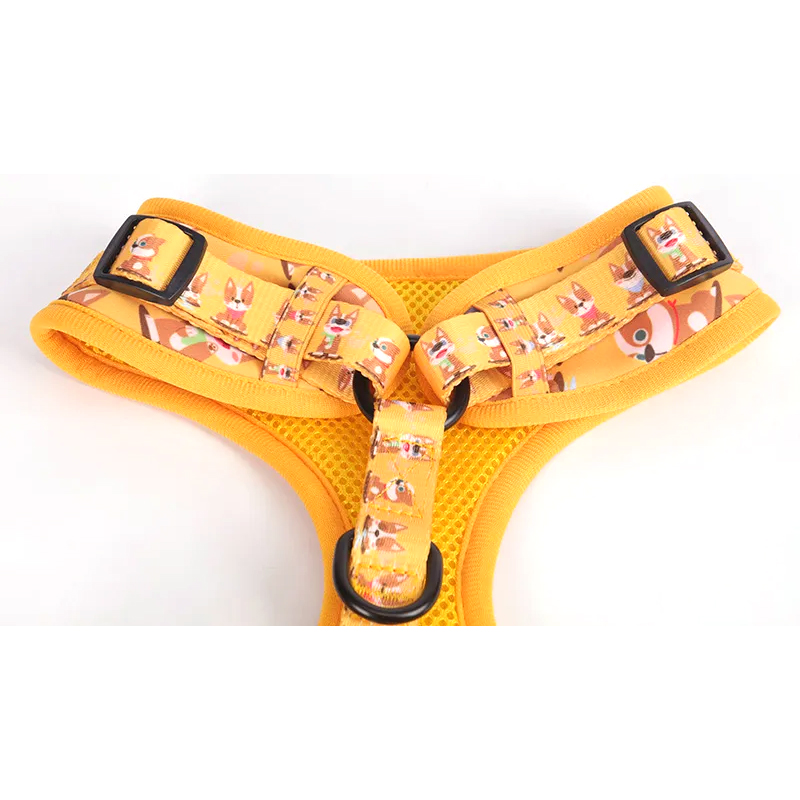 Ensemble de harnais pour chien personnalisé imprimé, six pièces, accessoires pour animaux de compagnie 15