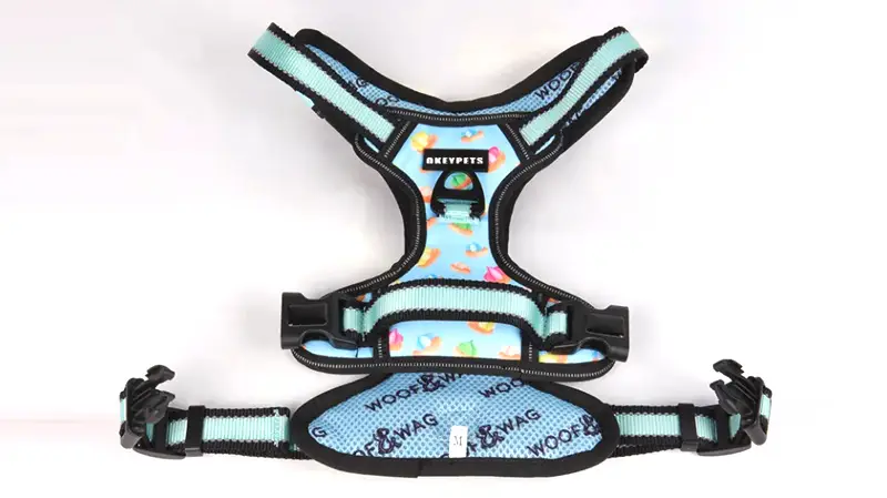 Harnais réfléchissants légers pour chiens : la meilleure façon de rendre votre chien visible 1