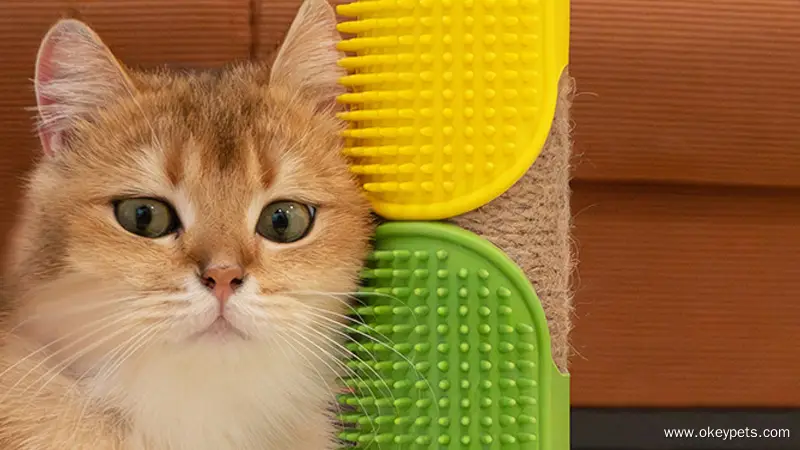 Hurtowa silikonowa szczotka do masażu dla kotów, przeznaczona do drabinek i nóg stołowych 1