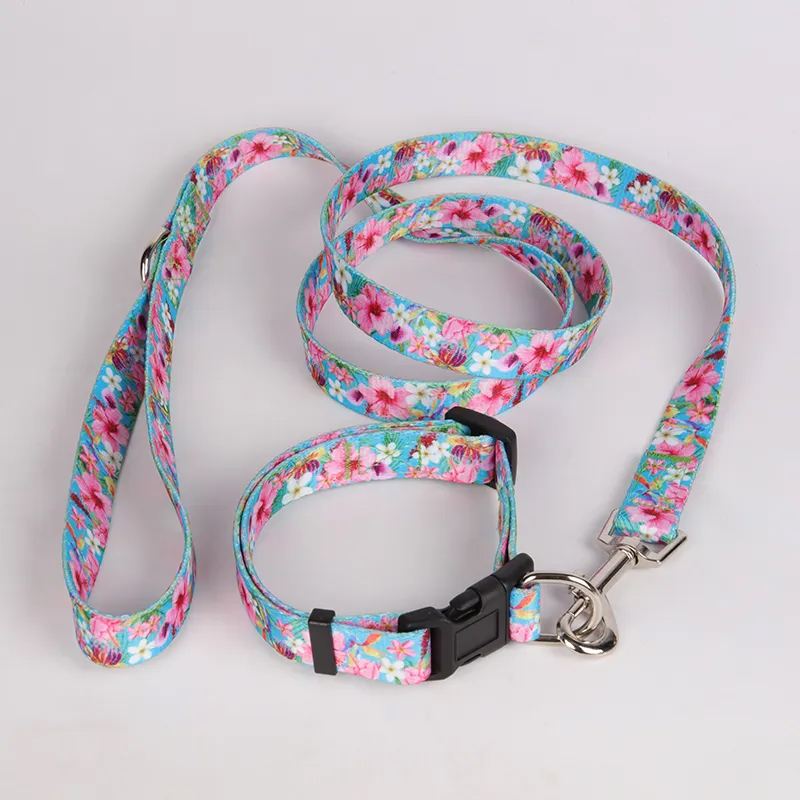 OKEYPETS Design Ensemble de harnais pour chien personnalisé, colliers et laisses ajustables par sublimation 18