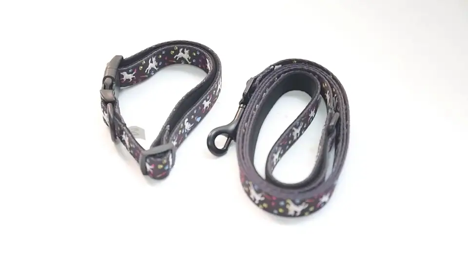 OKEYPETS Bulk Wholesale Luxury Adjustbale Comfortable Private Label Pet Dog Leash 1