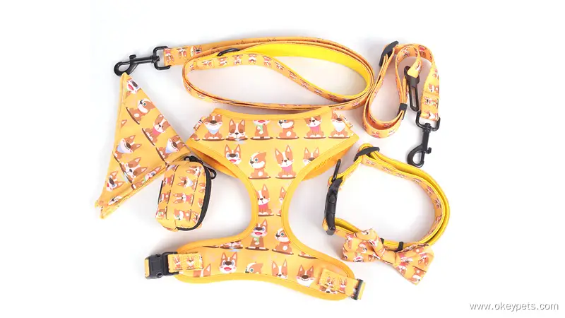 OKEYPETS Ensemble de colliers, laisses et harnais pour chiens de luxe, robustes et personnalisés 1