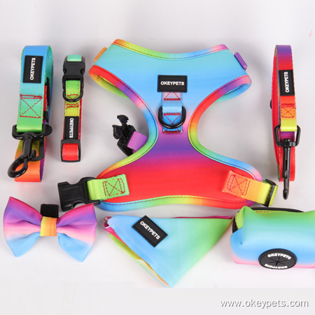 OKEYPETS Harnais pour chien en néoprène sur mesure, ensemble de luxe pour chiot avec accessoires mignons 16
