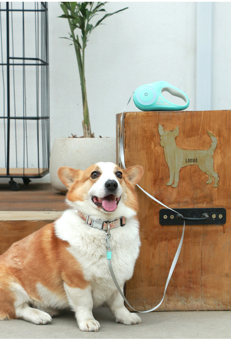 Laisse pour chien rétractable LED rechargeable avec lampe torche intégrée (vente en gros) 15