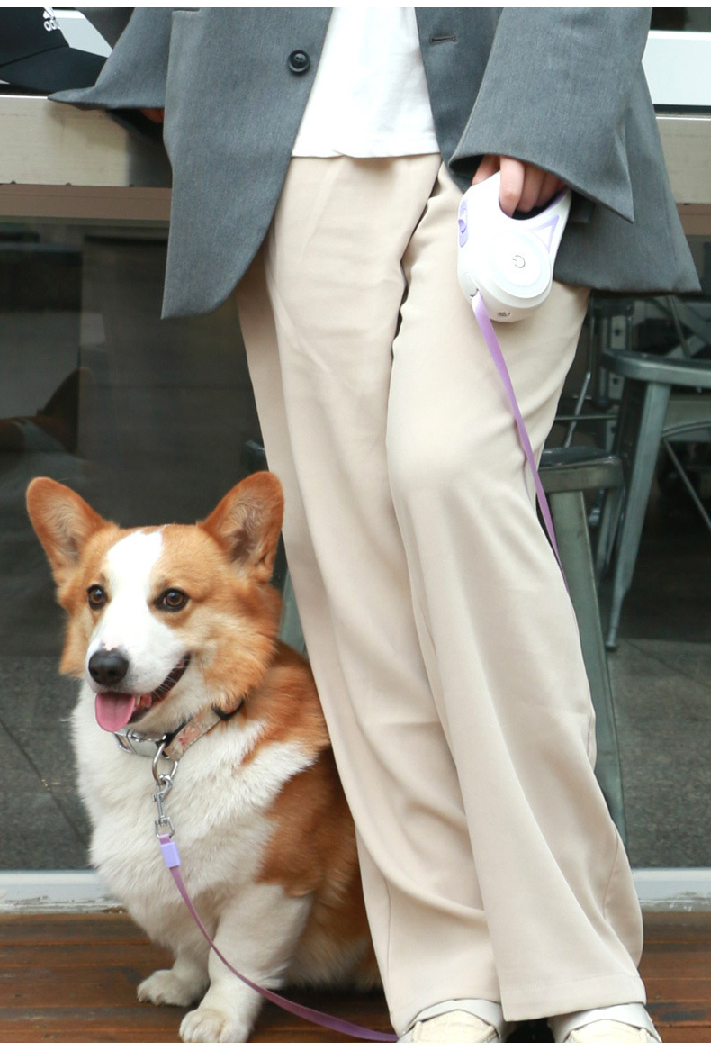 Laisse pour chien rétractable LED rechargeable avec lampe torche intégrée (vente en gros) 13