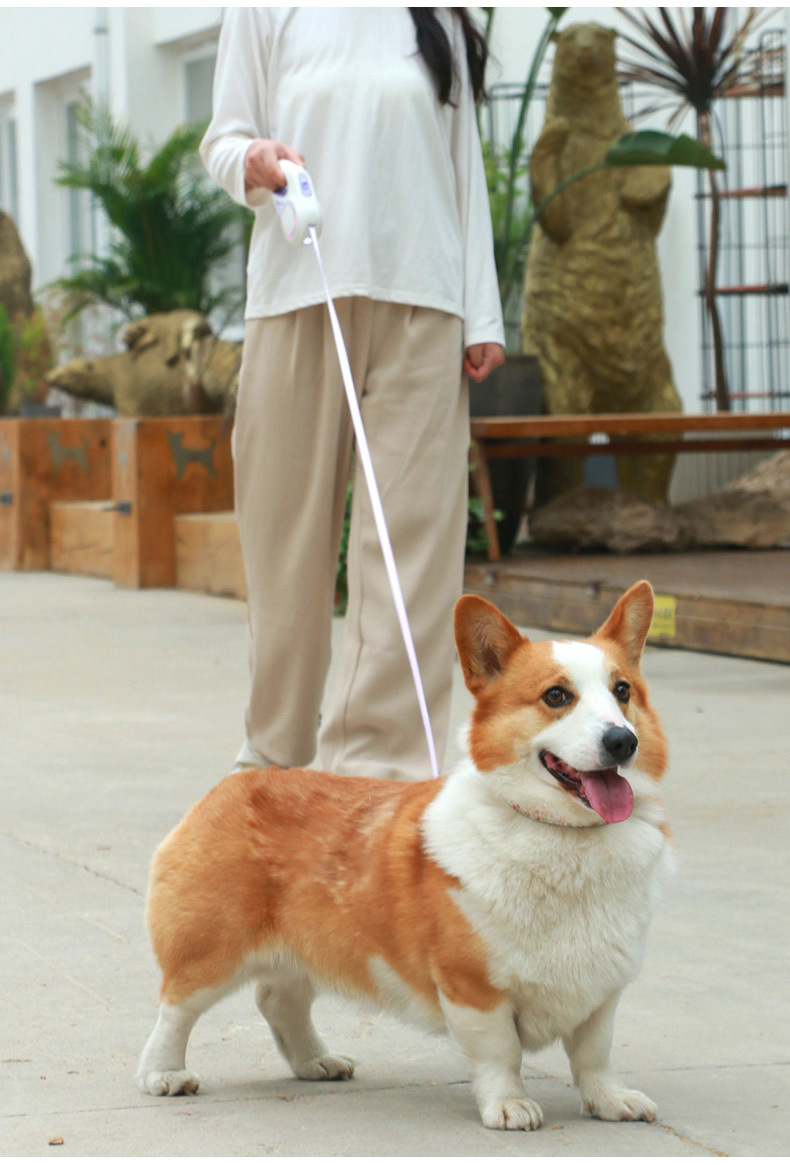 Laisse pour chien rétractable LED rechargeable avec lampe torche intégrée (vente en gros) 14