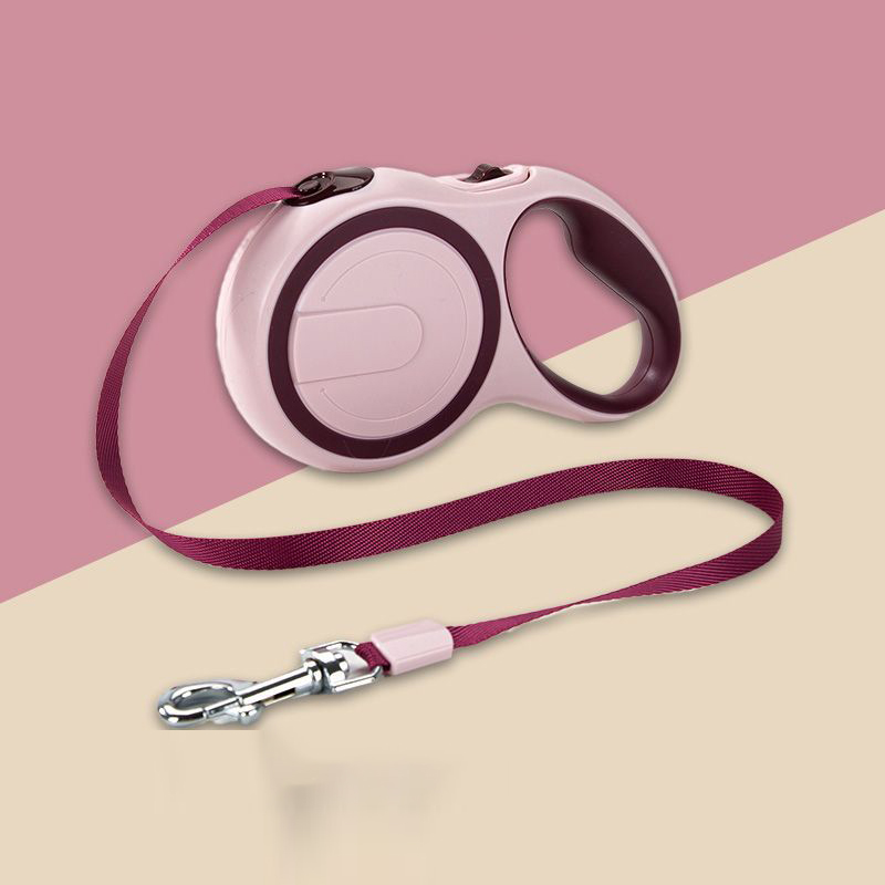 Laisse rétractable pour chien avec LED