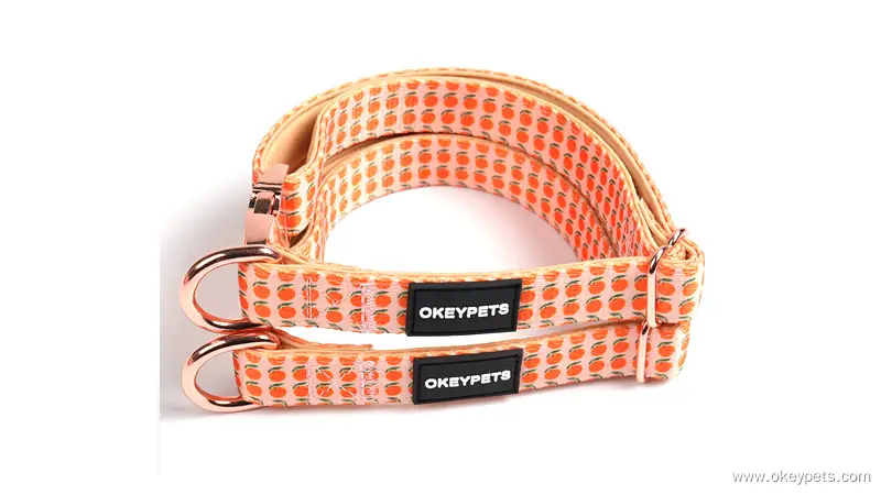 Collier pour chien OKEYPETS coloré, résistant, double couche, rembourré en néoprène doux et confortable. Tous les produits 1