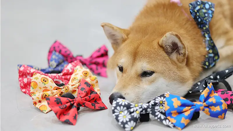 OKEYPETS Nœud papillon personnalisé en polyester pour chiens de petite et moyenne taille 1