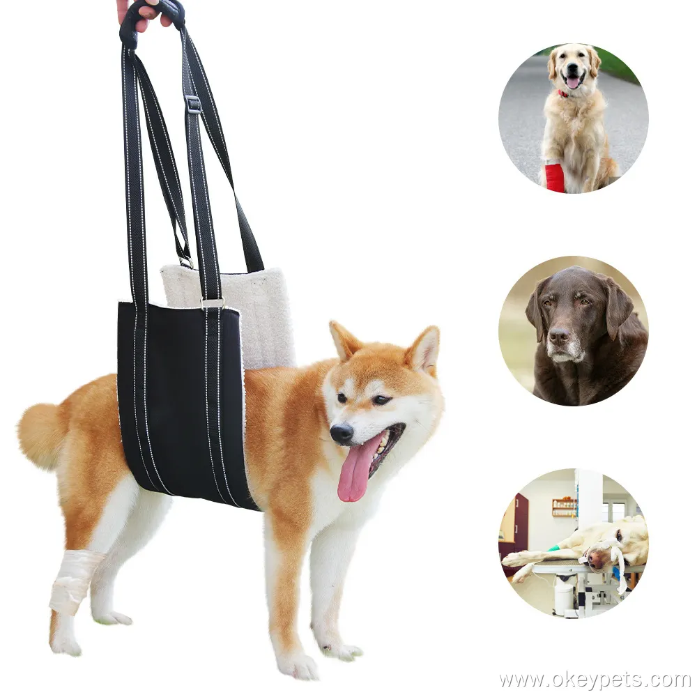 Dog Lift Support Harness - Durable and Easy to Use 4